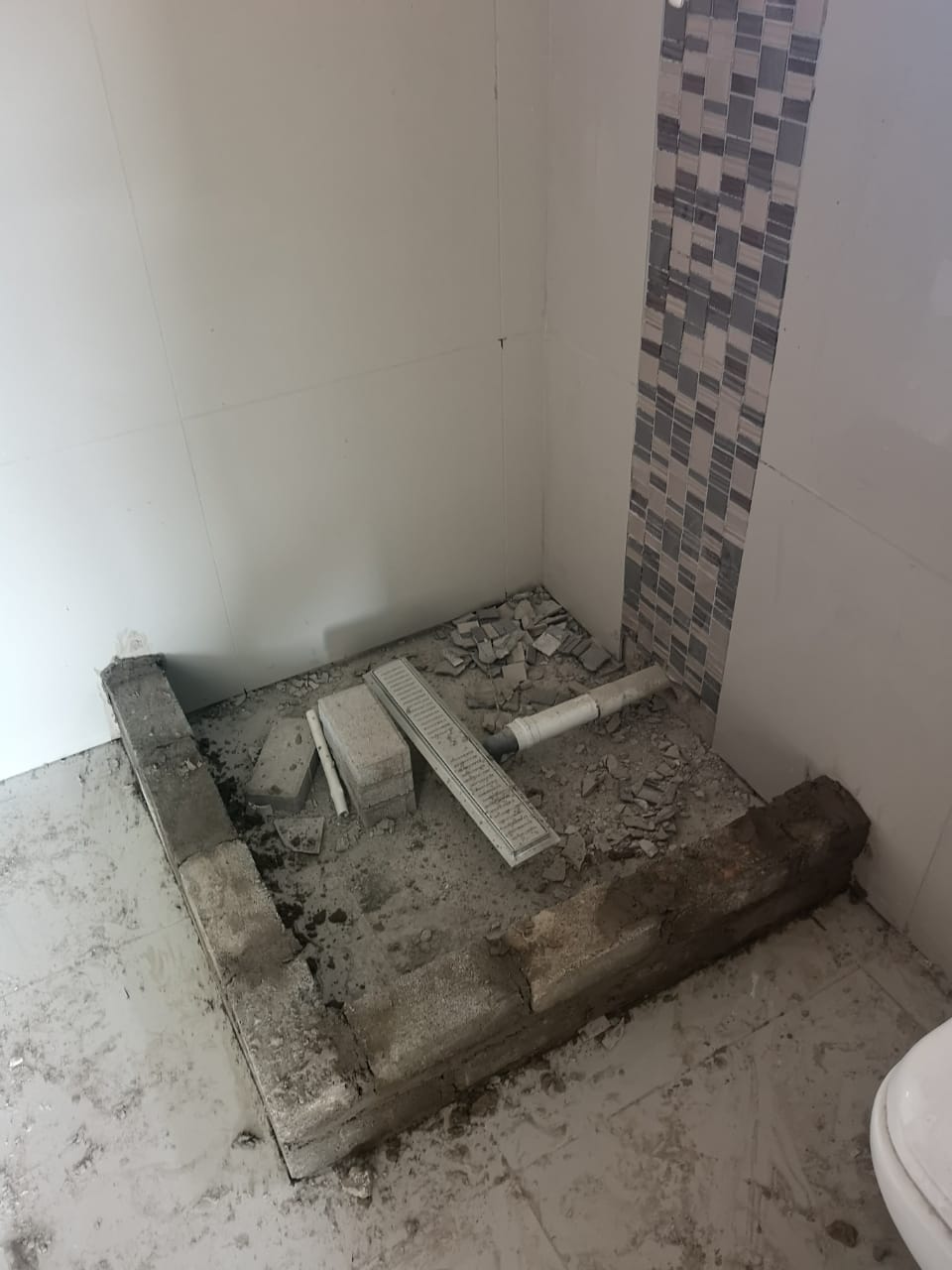 Renovated open-plan bathroom with freestanding bath and glass shower